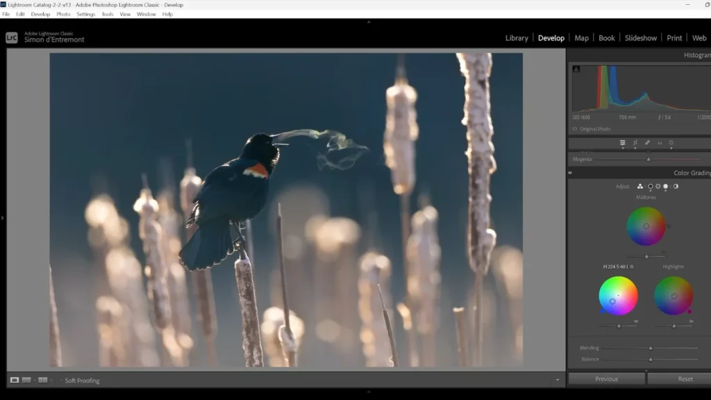 Advanced Editing Techniques