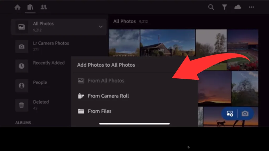 Selecting Photo for Editing