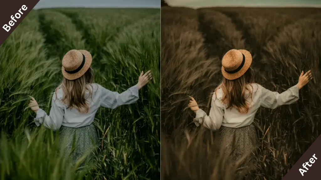 Vintage Lightroom Presets