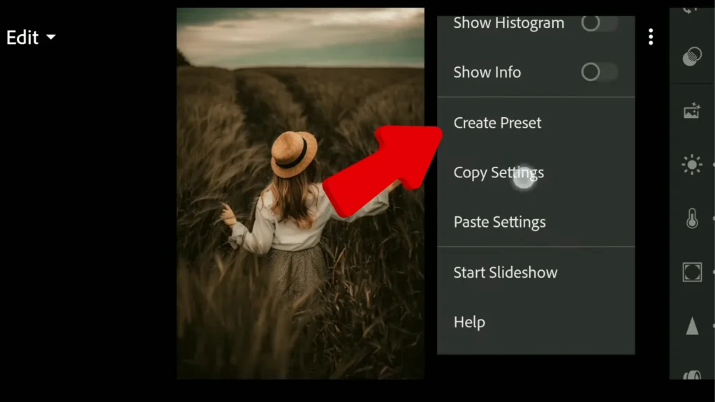 How to Create Vintage Lightroom Presets 4
