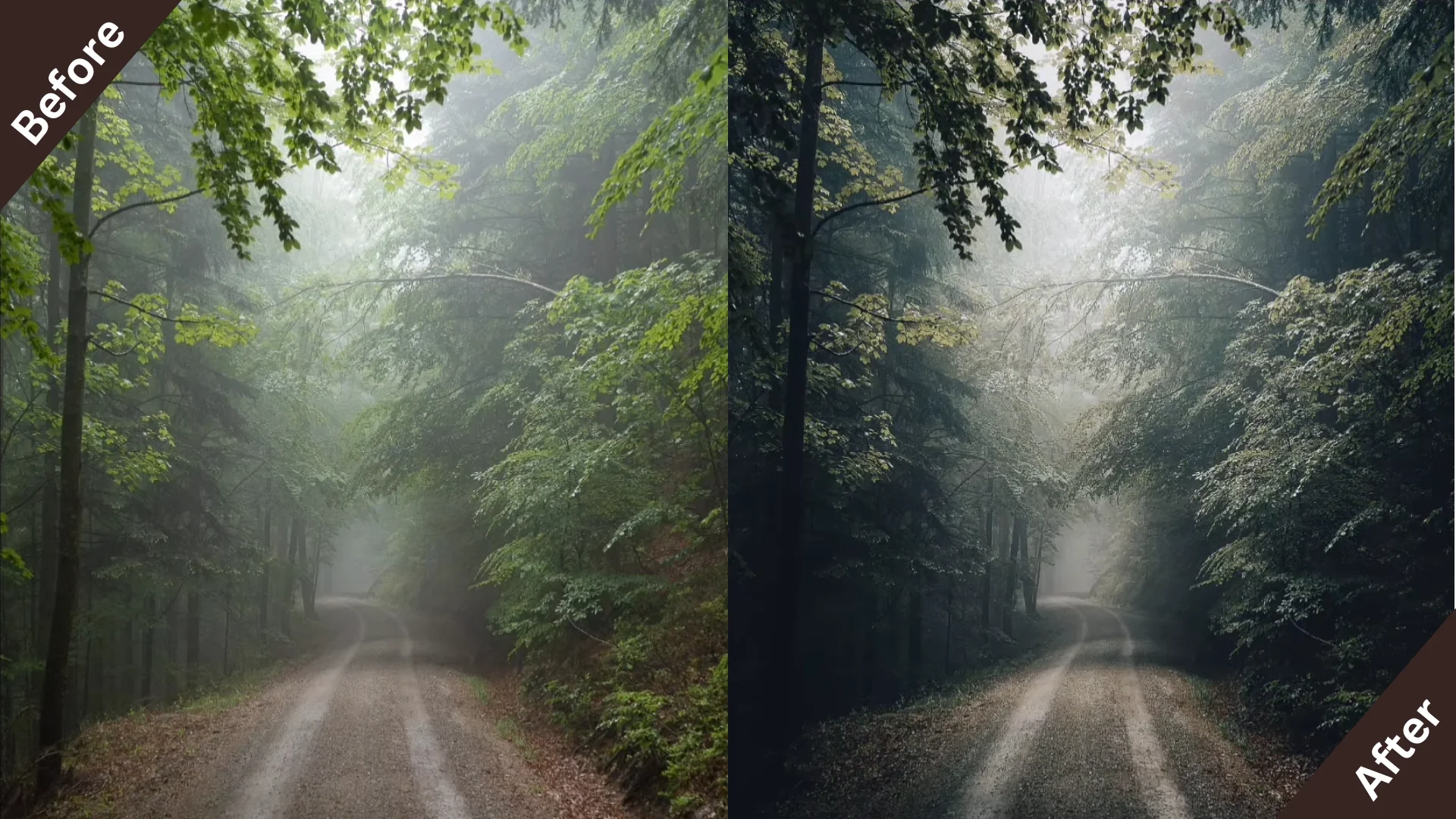 lightroom presets free download 10 Lightroom Nature Presets